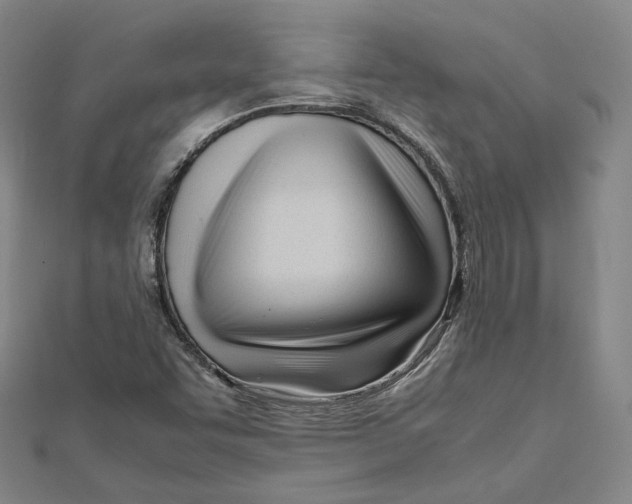 X0000112051455200909010932