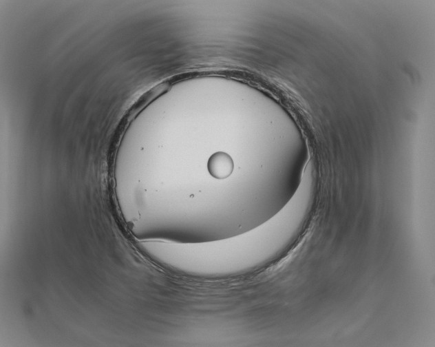 X0000112051457200909010932