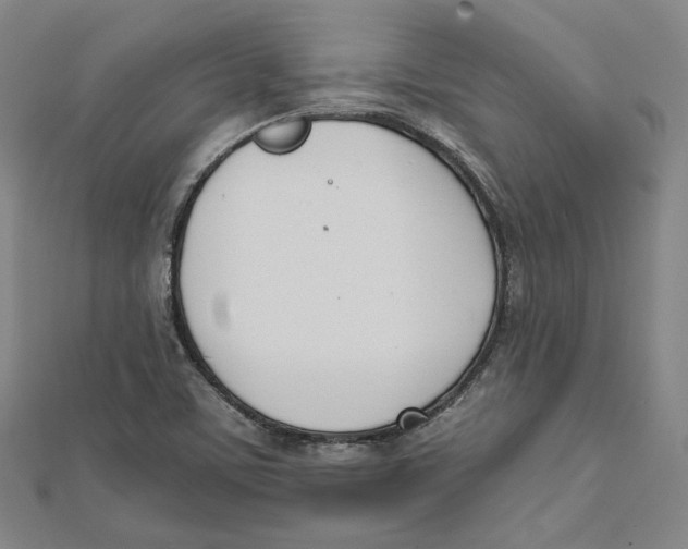 X0000112051459200909010932