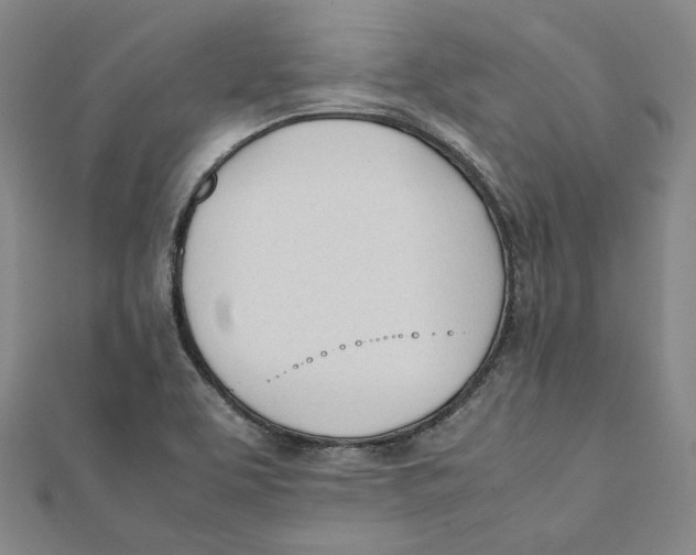 X0000112051463200909010932