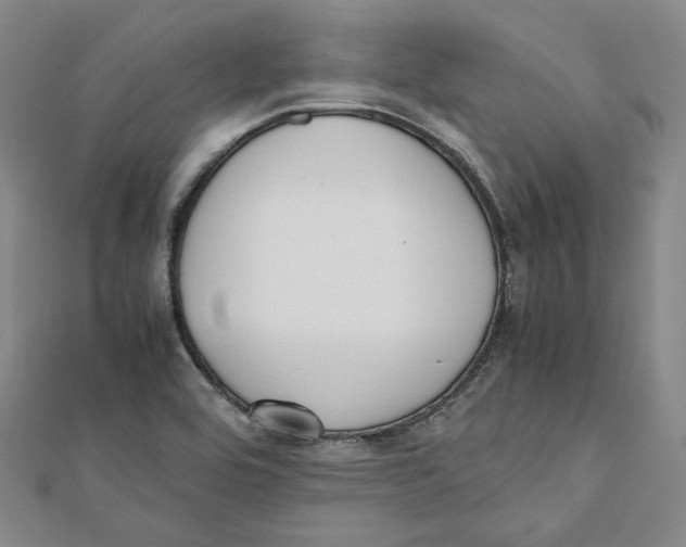 X0000112051464200909010932