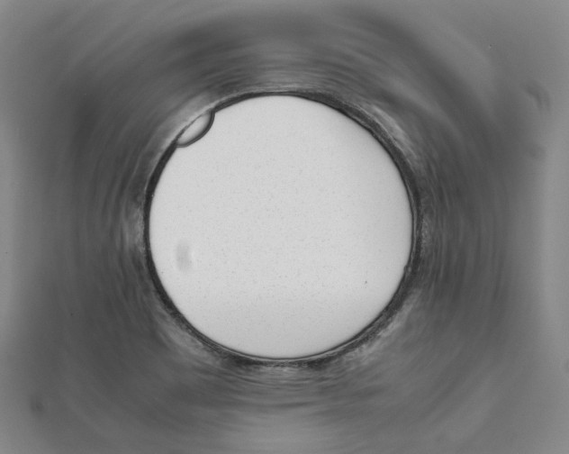 X0000112051465200909010932