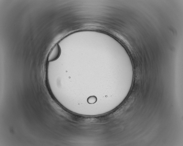 X0000112051467200909010932