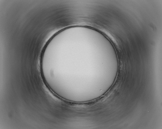 X0000112051468200909010932