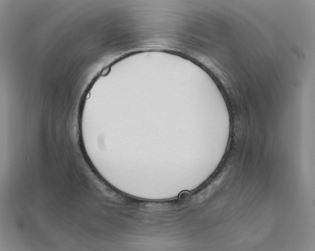 X0000112051469200909010932