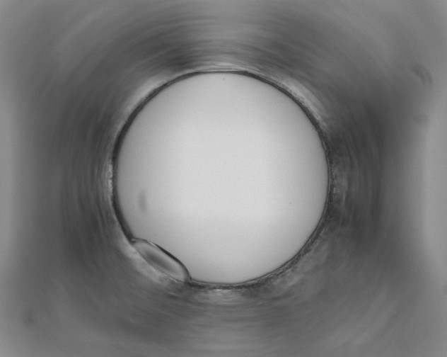 X0000112051476200909010932