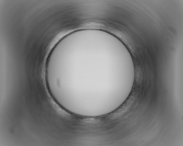 X0000112051478200909010932