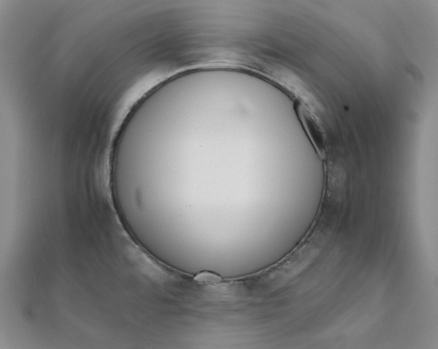 X0000112051480200909010932