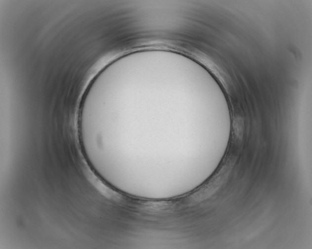 X0000112051482200909010932