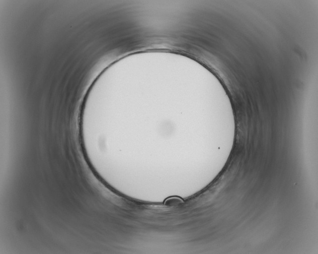 X0000112051483200909010932