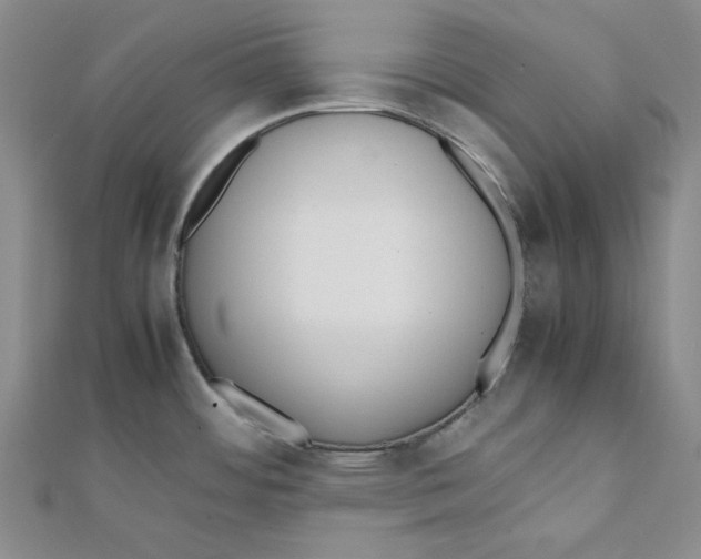 X0000112051484200909010932