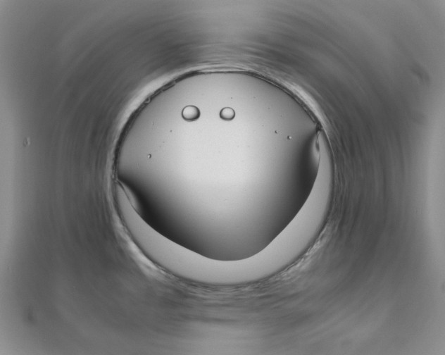 X0000112051485200909010932