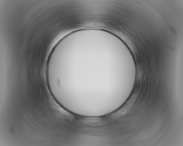 X0000112051486200909010932