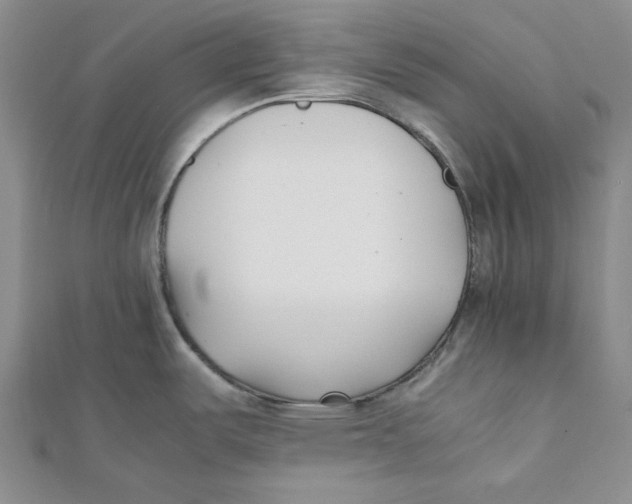 X0000112051487200909010932