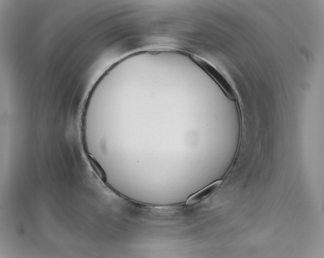 X0000112051488200909010932