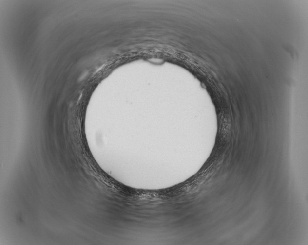 X0000112051489200909010931