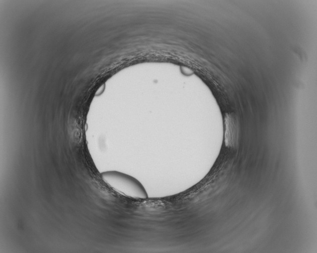 X0000112051491200909010931