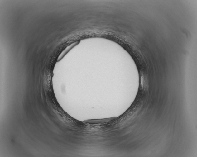 X0000112051492200909010931