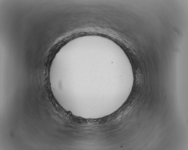 X0000112051494200909010931