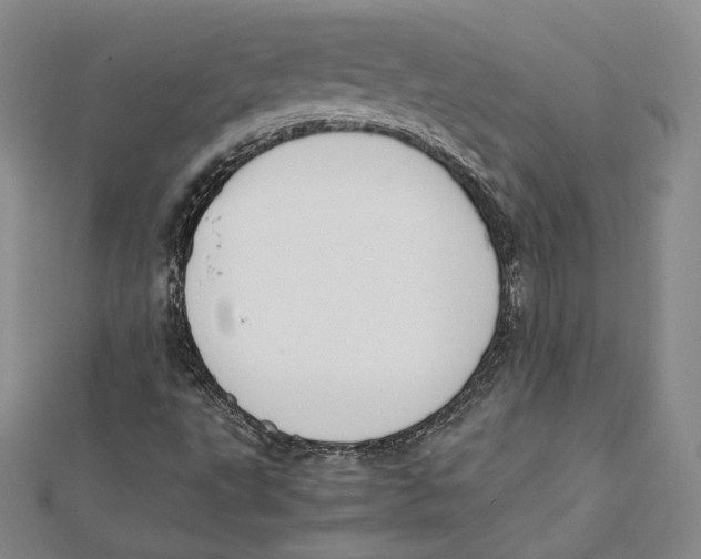 X0000112051495200909010931