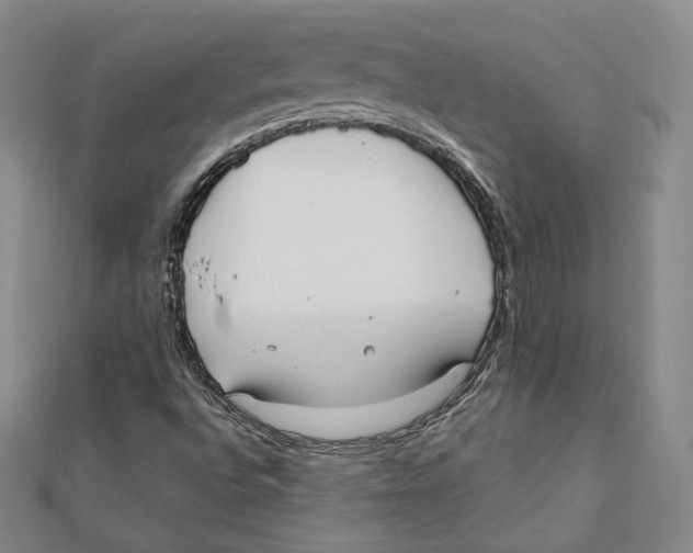 X0000112051496200909010931