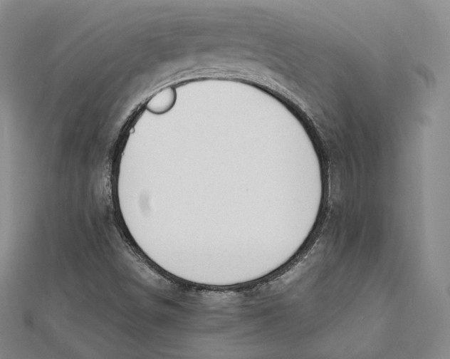 X0000112051498200909010931