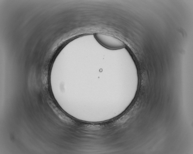 X0000112051499200909010931