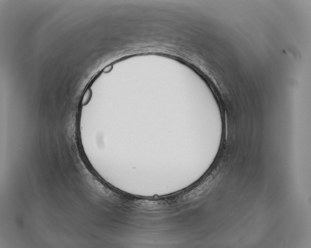 X0000112051500200909010931