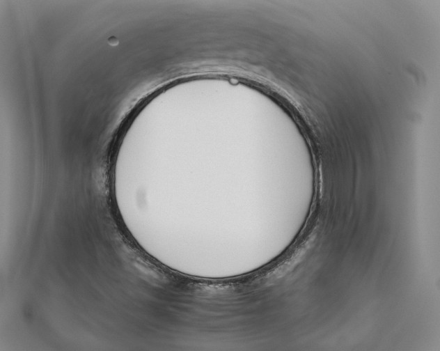 X0000112051501200909010931