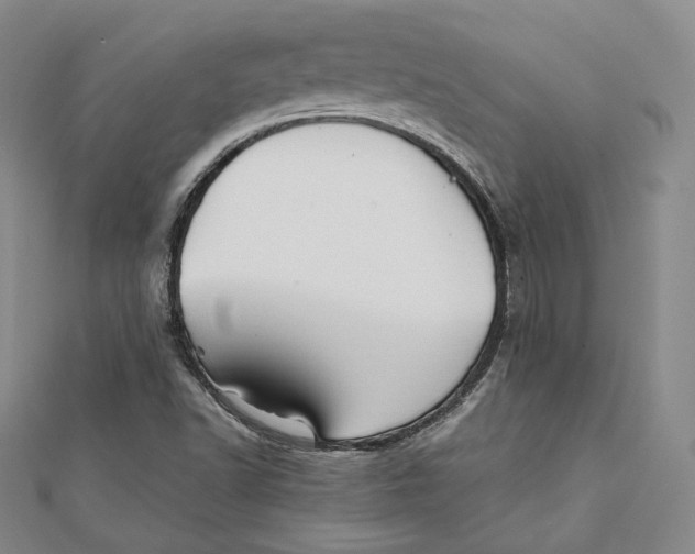 X0000112051502200909010931