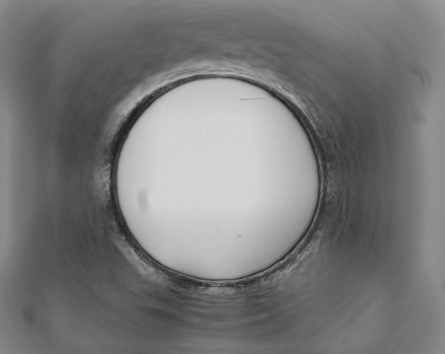 X0000112051503200909010931