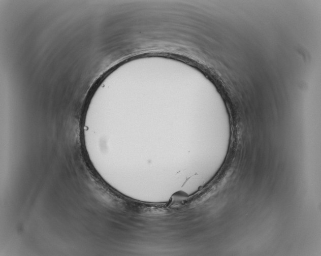 X0000112051505200909010932