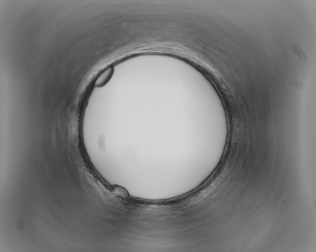 X0000112051506200909010932