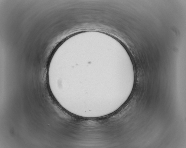 X0000112051507200909010932