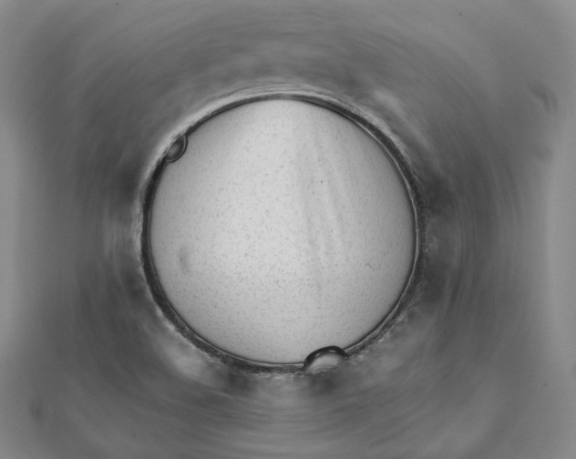 X0000112051508200909010932