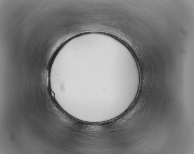 X0000112051509200909010932