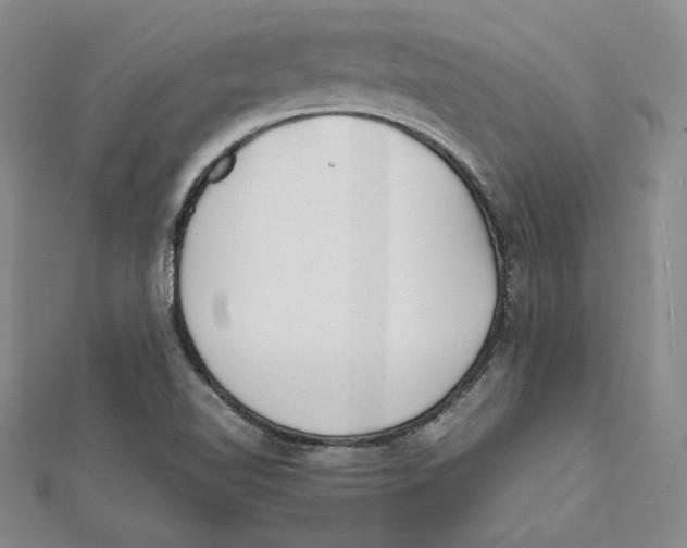 X0000112051510200909010932