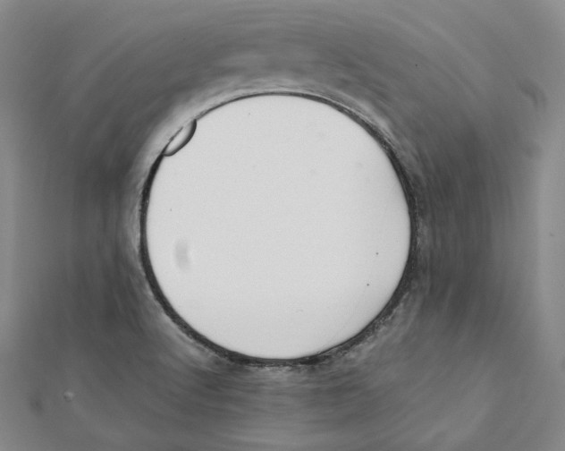 X0000112051512200909010932