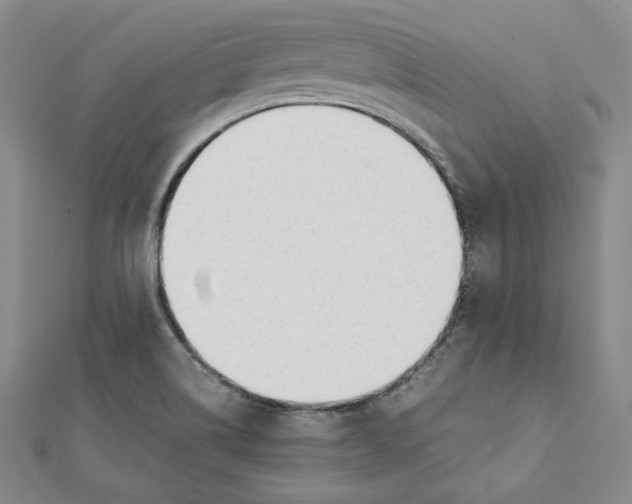 X0000112051514200909010932