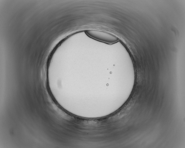 X0000112051515200909010932