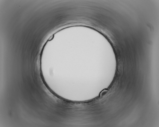 X0000112051516200909010932