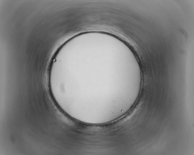 X0000112051517200909010932