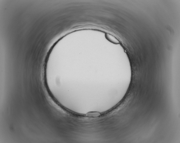 X0000112051518200909010932