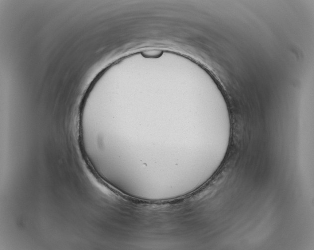 X0000112051519200909010932