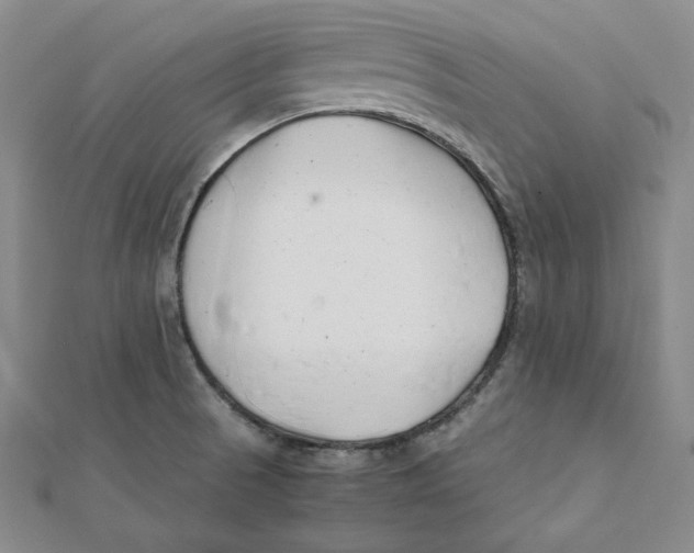 X0000112051521200909010932