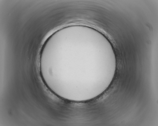 X0000112051522200909010932