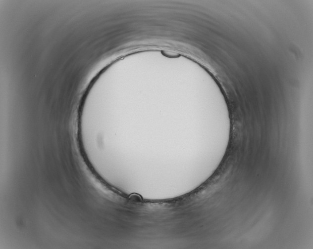 X0000112051523200909010932