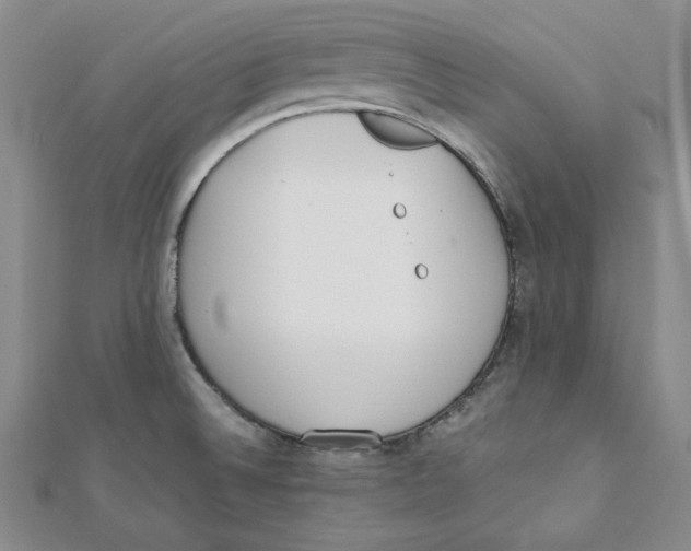 X0000112051524200909010932