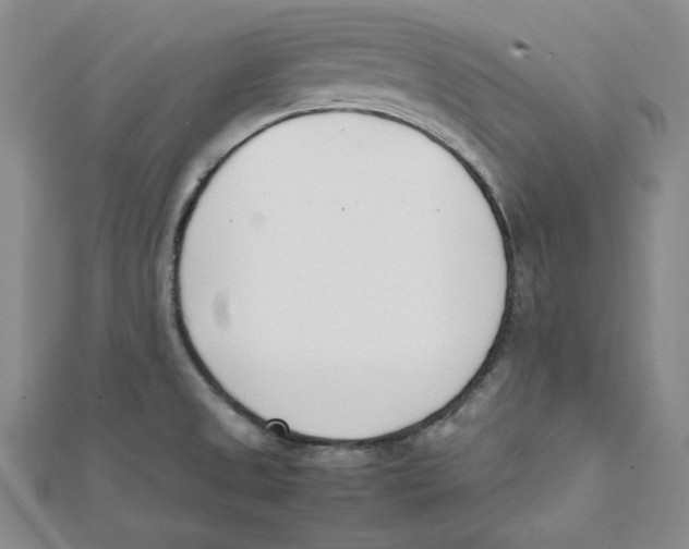 X0000112051525200909010932