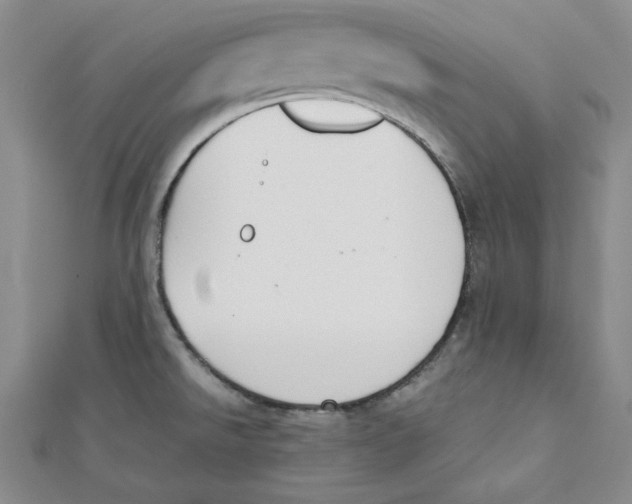 X0000112051526200909010932